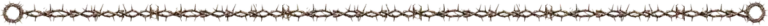 horizontal thorn divider 1200x40 transparent final